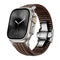 Brown Band-Silver Buckle
